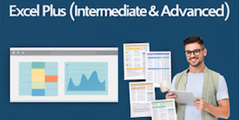 Excel Plus Intermediate and Advanced